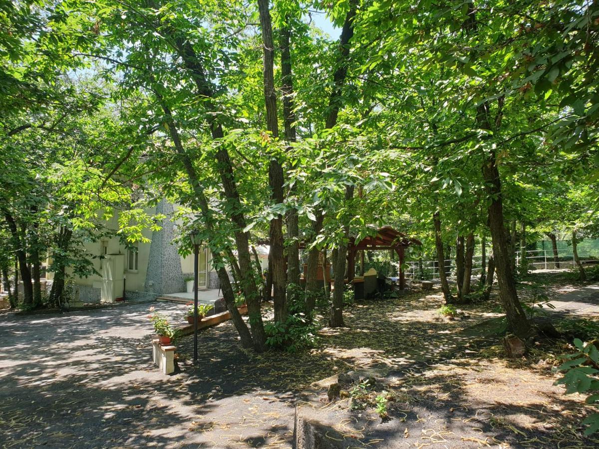 Ln Etna House-Villa Ad Uso Esclusivo Pedara Zewnętrze zdjęcie