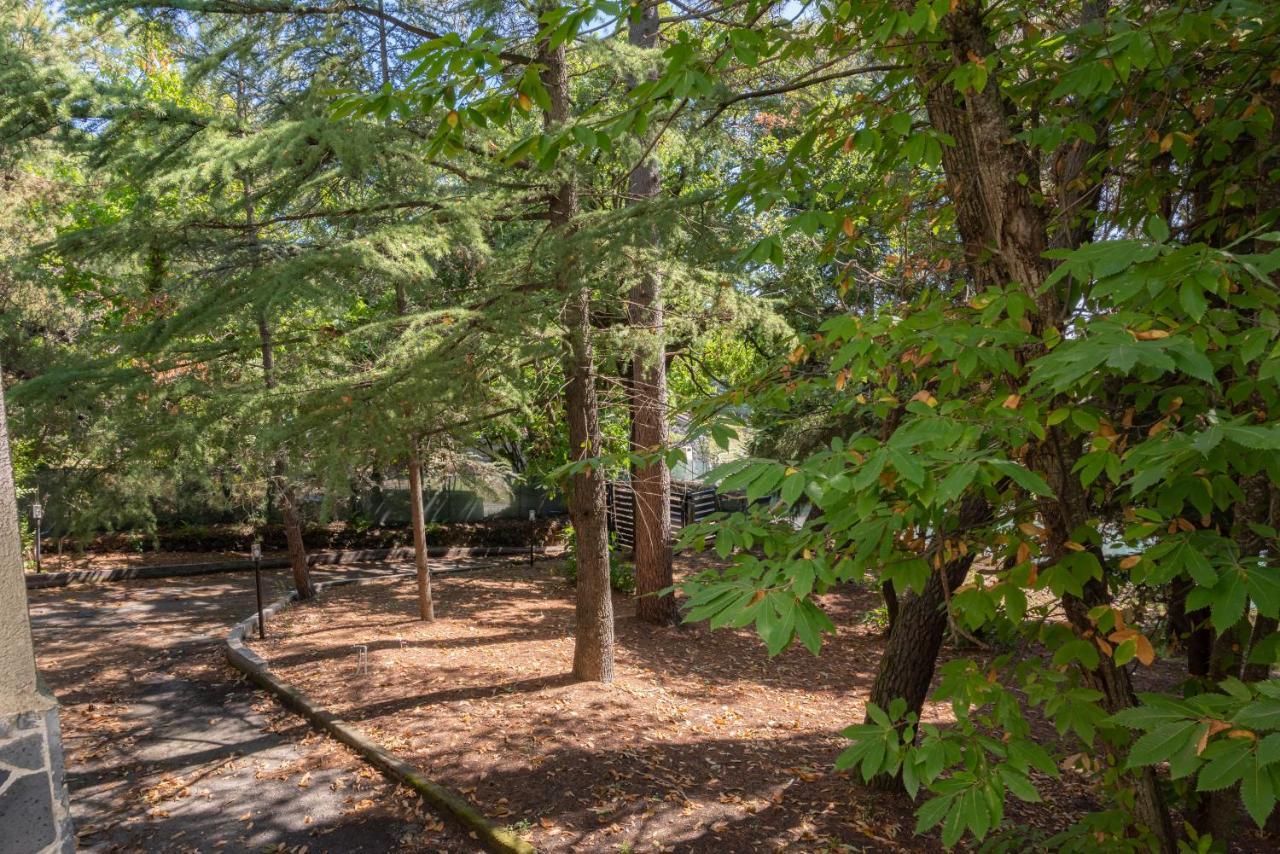 Ln Etna House-Villa Ad Uso Esclusivo Pedara Zewnętrze zdjęcie