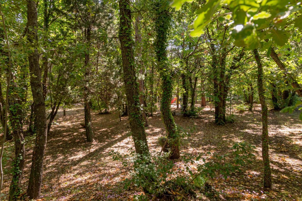Ln Etna House-Villa Ad Uso Esclusivo Pedara Zewnętrze zdjęcie