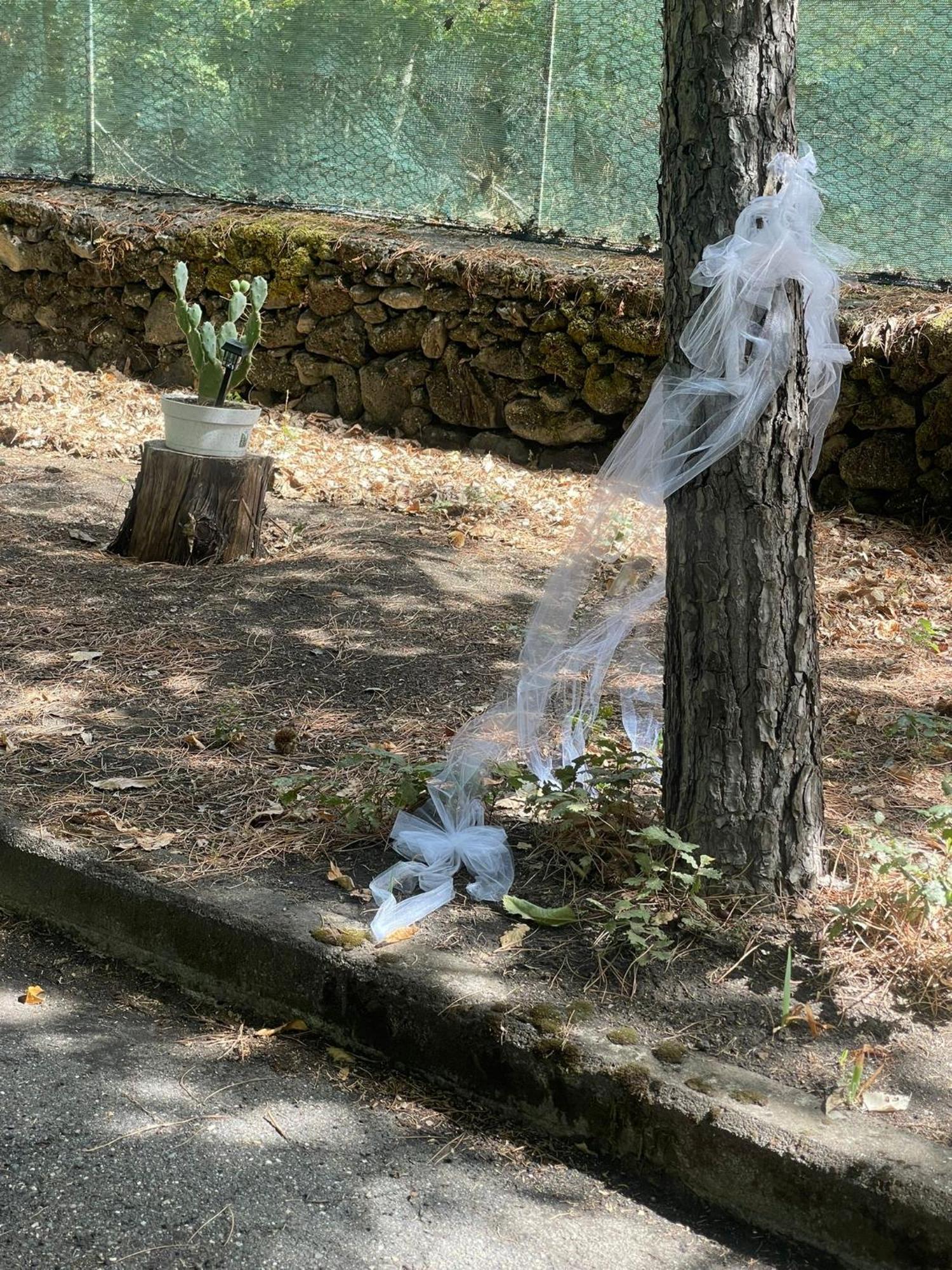 Ln Etna House-Villa Ad Uso Esclusivo Pedara Zewnętrze zdjęcie
