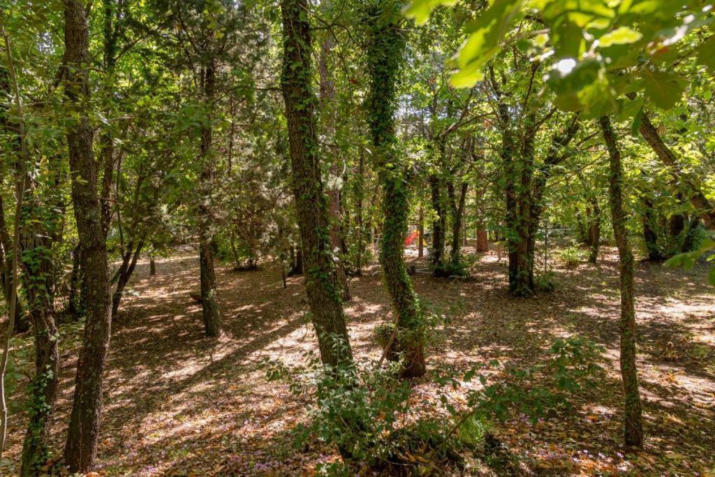 Ln Etna House-Villa Ad Uso Esclusivo Pedara Zewnętrze zdjęcie